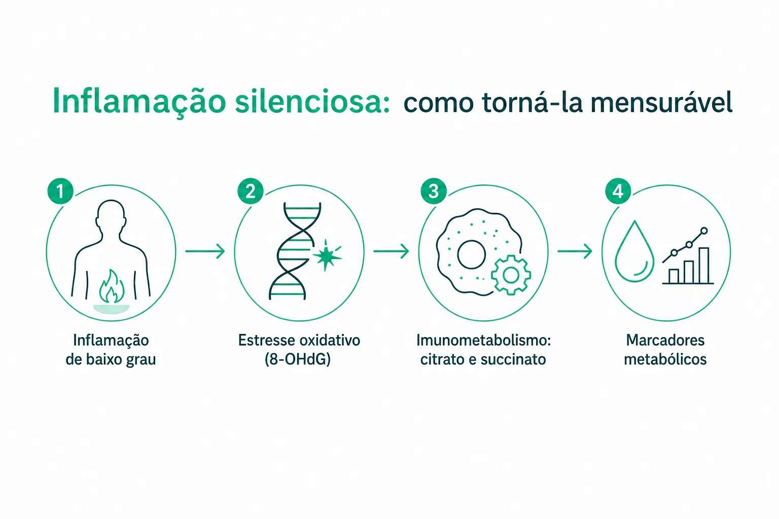 Infográfico: da inflamação silenciosa ao estresse oxidativo e aos marcadores metabólicos