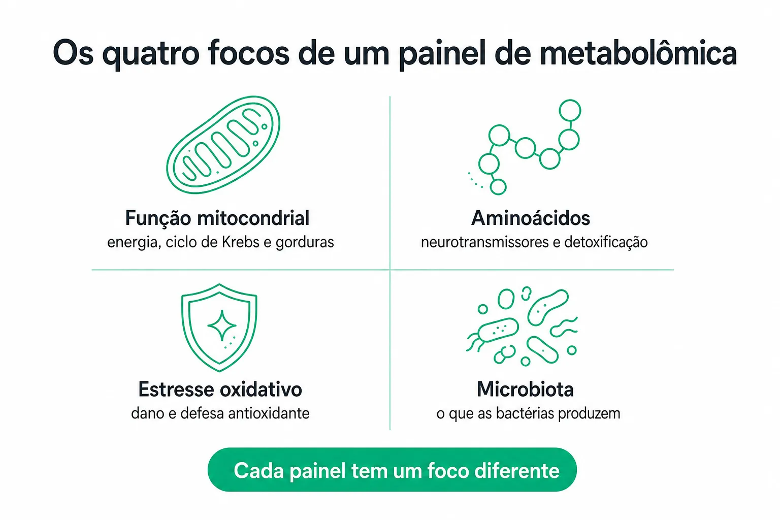 Infográfico dos quatro grandes focos de um painel de metabolômica: função mitocondrial, aminoácidos, estresse oxidativo e microbiota