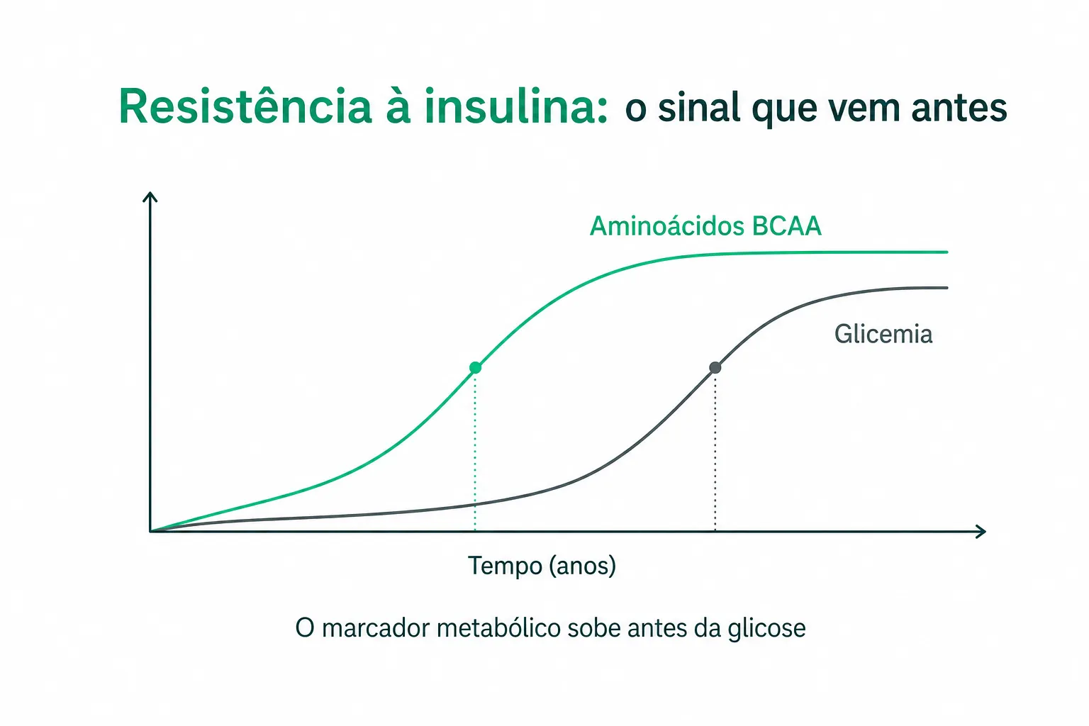 Infográfico: aminoácidos BCAA sobem antes da glicemia na resistência à insulina